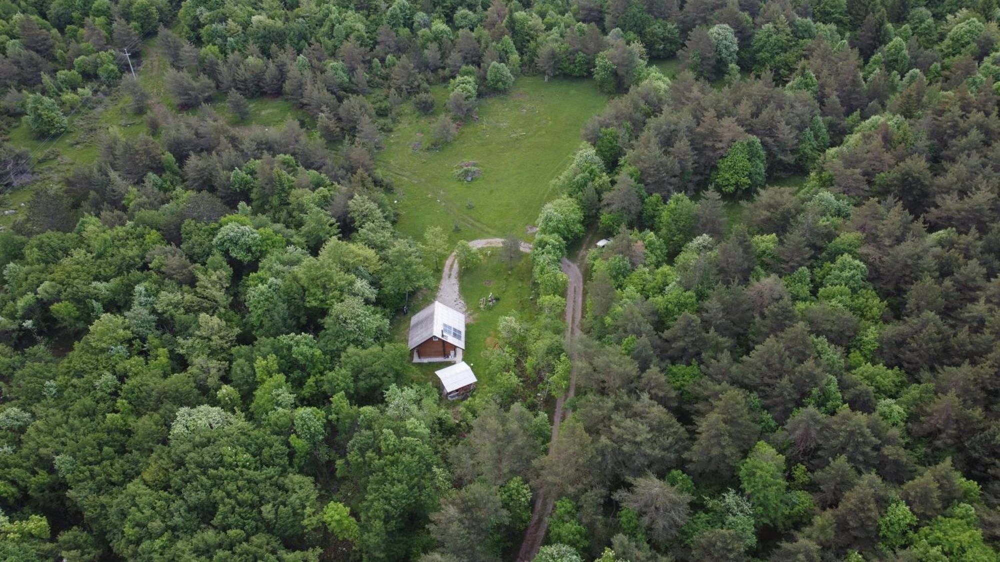 Podklanci-House In The Forest Knezak Exterior foto